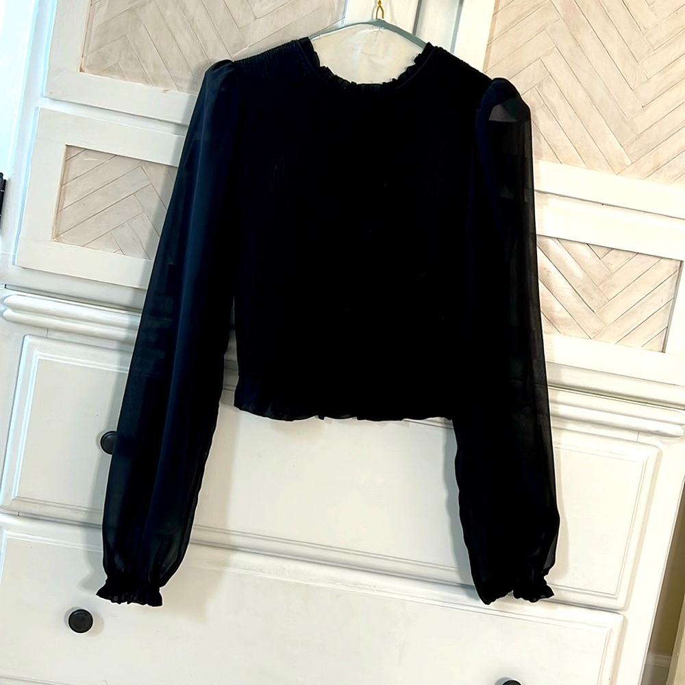 Black top, shirred bodice with wide, sheer sleeves
